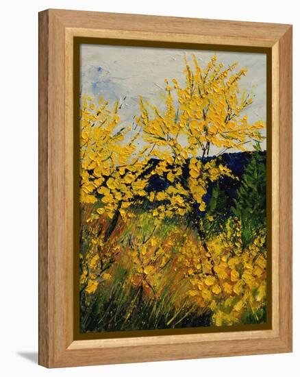 Brooms Shrubs-Pol Ledent-Framed Stretched Canvas