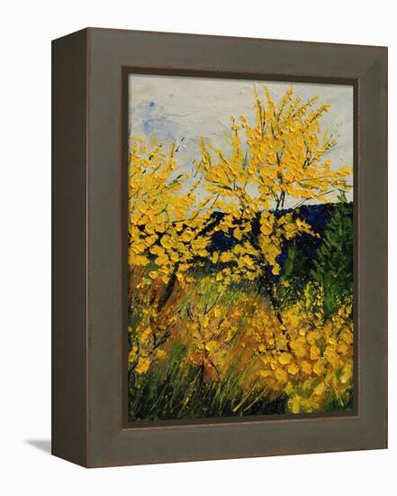 Brooms Shrubs-Pol Ledent-Framed Stretched Canvas