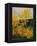 Brooms Shrubs-Pol Ledent-Framed Stretched Canvas