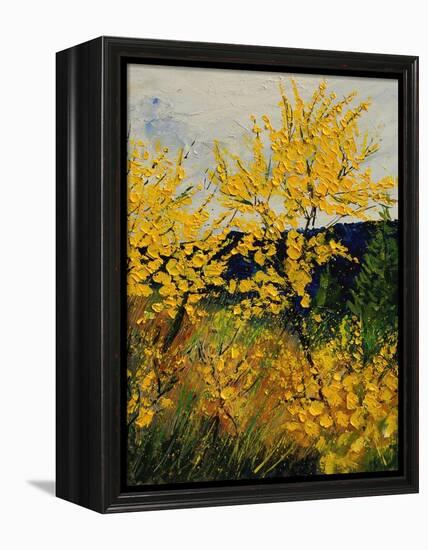 Brooms Shrubs-Pol Ledent-Framed Stretched Canvas