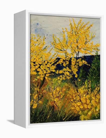 Brooms Shrubs-Pol Ledent-Framed Stretched Canvas