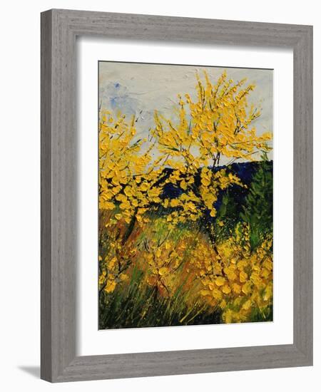 Brooms Shrubs-Pol Ledent-Framed Art Print