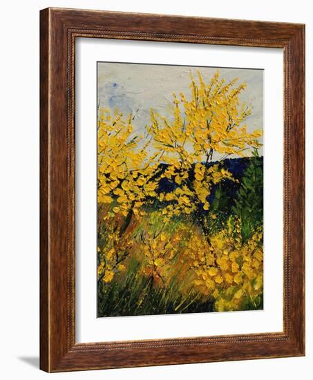 Brooms Shrubs-Pol Ledent-Framed Art Print