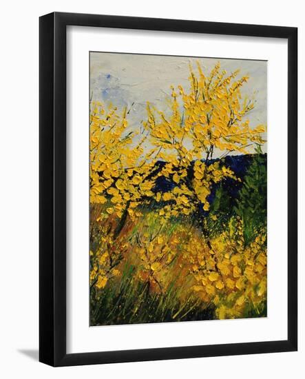 Brooms Shrubs-Pol Ledent-Framed Art Print