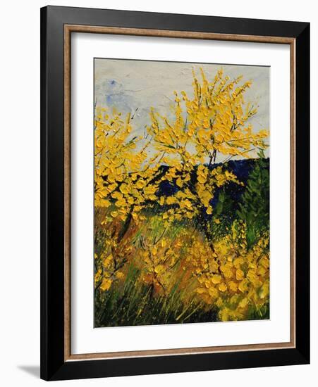 Brooms Shrubs-Pol Ledent-Framed Art Print