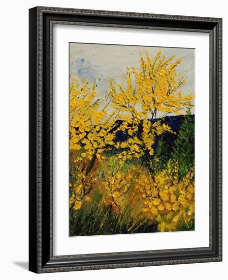 Brooms Shrubs-Pol Ledent-Framed Art Print