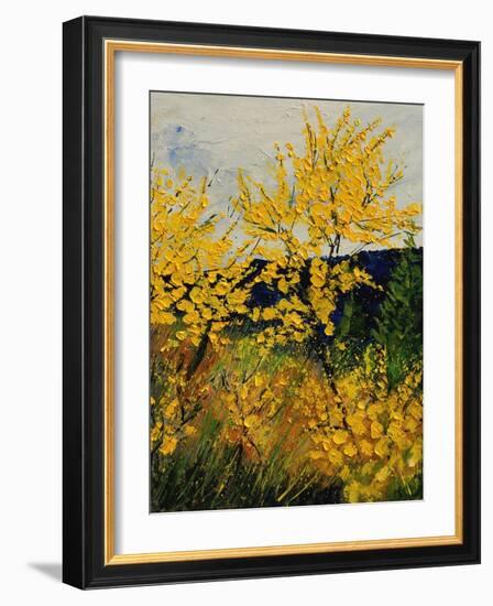 Brooms Shrubs-Pol Ledent-Framed Art Print