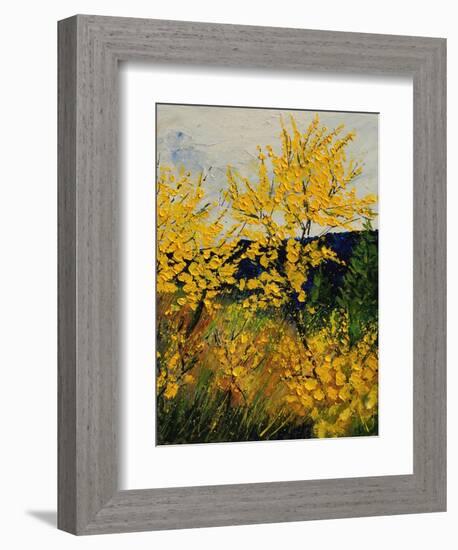 Brooms Shrubs-Pol Ledent-Framed Premium Giclee Print