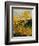 Brooms Shrubs-Pol Ledent-Framed Premium Giclee Print