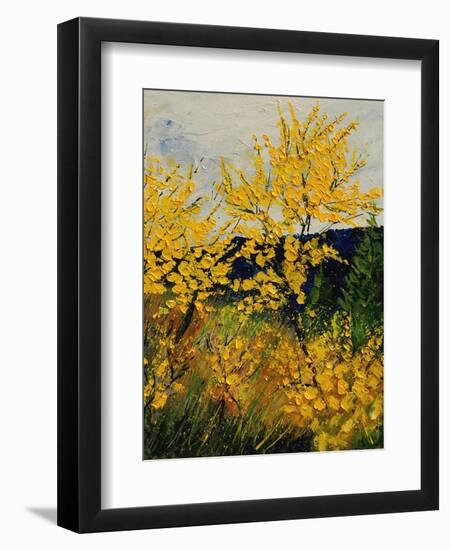 Brooms Shrubs-Pol Ledent-Framed Premium Giclee Print