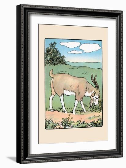 Brother Bill the Billy Goat-Julia Dyar Hardy-Framed Art Print