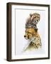 Brother of the Wind-Barbara Keith-Framed Giclee Print