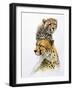 Brother of the Wind-Barbara Keith-Framed Giclee Print
