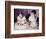 Brother Watches His Sister Blow Out Candles on Birthday Cake, Ca. 1956-null-Framed Photographic Print