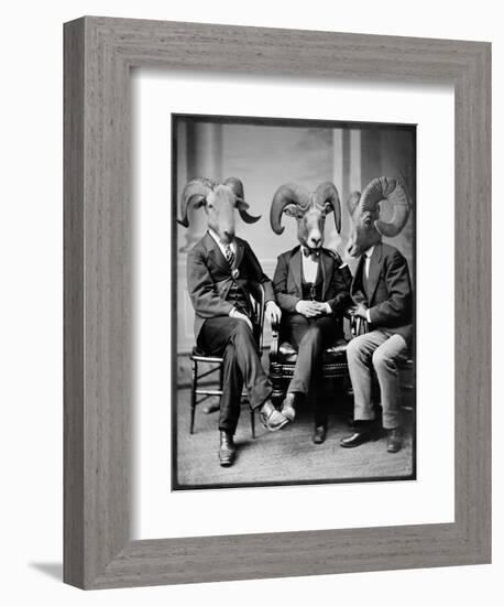 Brotherhood of the Ram-Grand Ole Bestiary-Framed Art Print