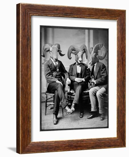 Brotherhood of the Ram-Grand Ole Bestiary-Framed Art Print