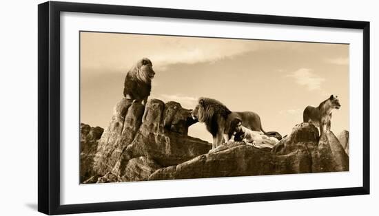 Brotherhood-Marc Moreau-Framed Art Print