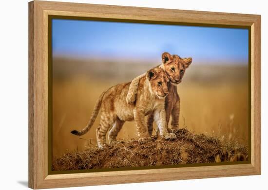 Brothers for Life-Jeffrey C. Sink-Framed Premier Image Canvas