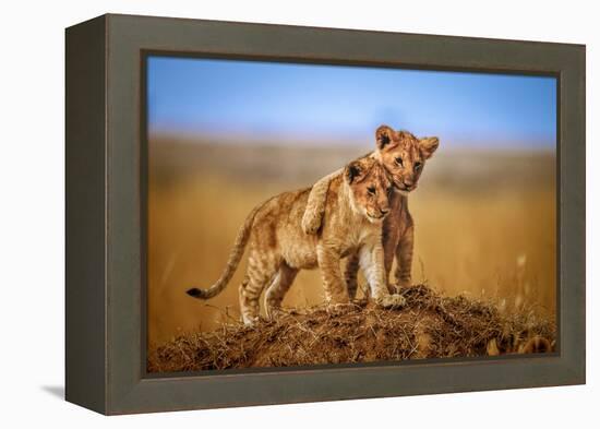 Brothers for Life-Jeffrey C. Sink-Framed Premier Image Canvas