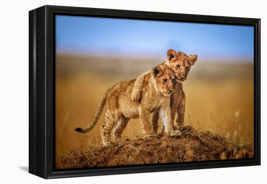 Brothers for Life-Jeffrey C. Sink-Framed Premier Image Canvas