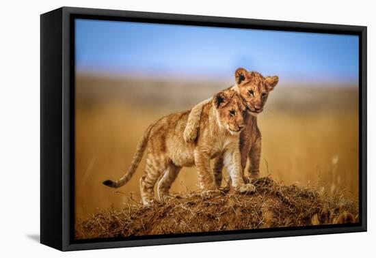 Brothers for Life-Jeffrey C. Sink-Framed Premier Image Canvas