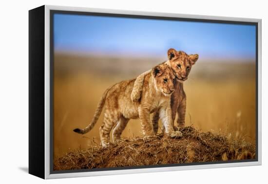 Brothers for Life-Jeffrey C. Sink-Framed Premier Image Canvas