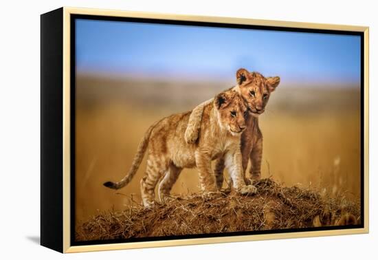 Brothers for Life-Jeffrey C. Sink-Framed Premier Image Canvas