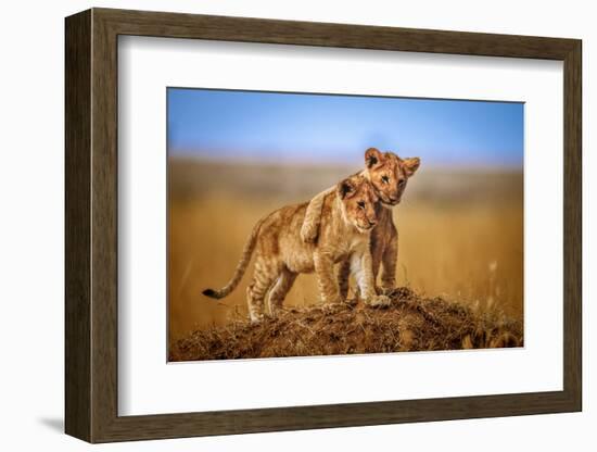 Brothers for Life-Jeffrey C. Sink-Framed Photographic Print