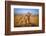 Brothers for Life-Jeffrey C. Sink-Framed Photographic Print