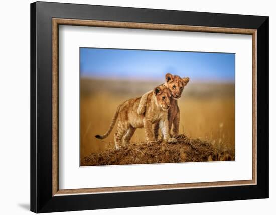 Brothers for Life-Jeffrey C. Sink-Framed Photographic Print