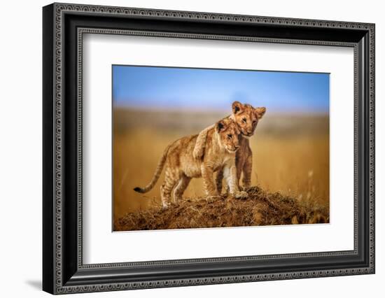 Brothers for Life-Jeffrey C. Sink-Framed Premium Photographic Print