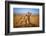 Brothers for Life-Jeffrey C. Sink-Framed Premium Photographic Print