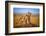 Brothers for Life-Jeffrey C. Sink-Framed Premium Photographic Print