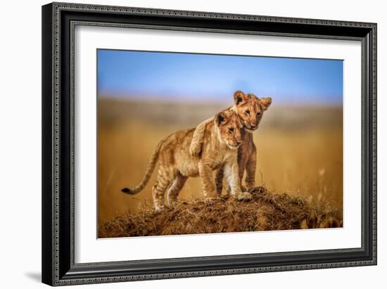 Brothers for Life-Jeffrey C. Sink-Framed Photographic Print