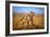 Brothers for Life-Jeffrey C. Sink-Framed Photographic Print