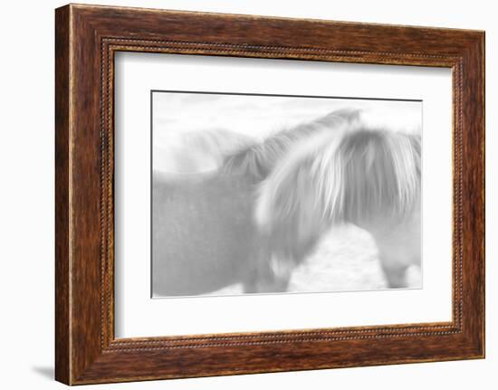 Brothers Forever-Doug Chinnery-Framed Photographic Print
