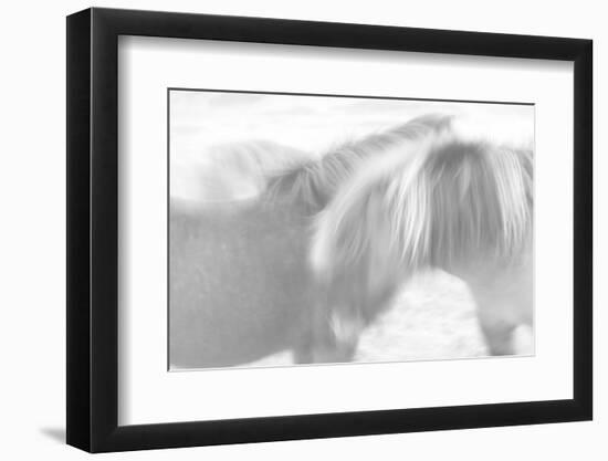 Brothers Forever-Doug Chinnery-Framed Photographic Print