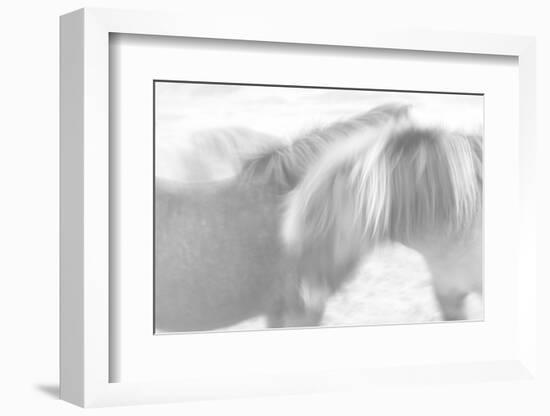 Brothers Forever-Doug Chinnery-Framed Photographic Print