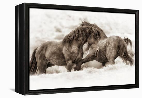 Brothers-Lisa Dearing-Framed Premier Image Canvas