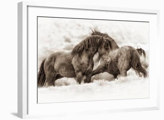 Brothers-Lisa Dearing-Framed Photographic Print