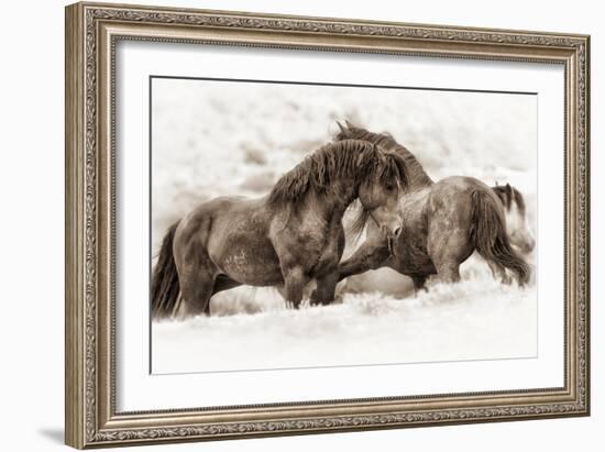 Brothers-Lisa Dearing-Framed Photographic Print