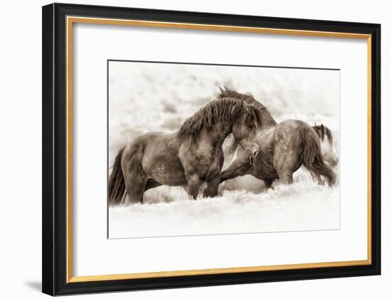 Brothers-Lisa Dearing-Framed Photographic Print