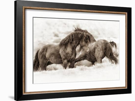 Brothers-Lisa Dearing-Framed Photographic Print