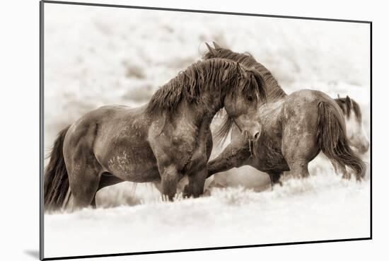 Brothers-Lisa Dearing-Mounted Photographic Print