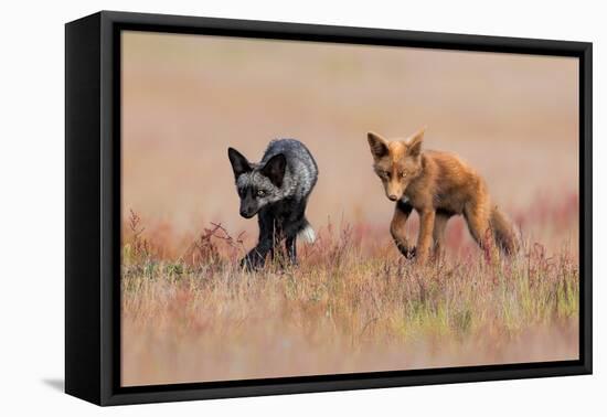 Brothers-Jun Zuo-Framed Premier Image Canvas