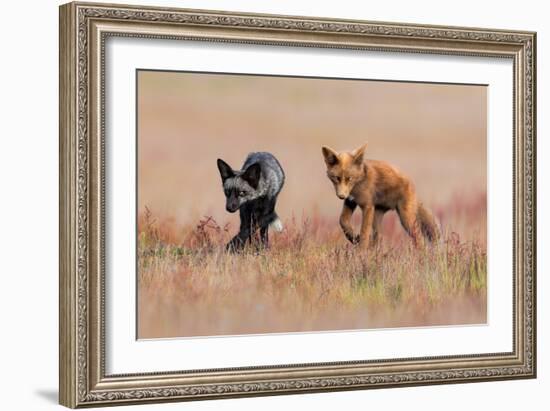 Brothers-Jun Zuo-Framed Giclee Print