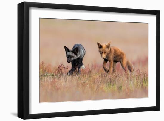 Brothers-Jun Zuo-Framed Giclee Print