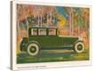 Stretched Canvas Print