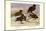 Brown and Auckland Ducks-Louis Agassiz Fuertes-Mounted Art Print