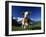 Brown and White Cow in Alpine Meadow, First, Grindelwald, Bern, Switzerland, Europe-Tomlinson Ruth-Framed Photographic Print